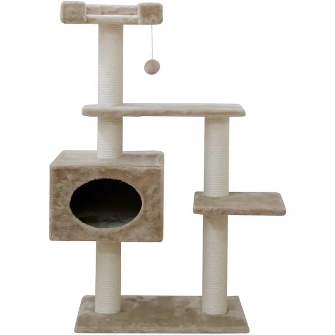 Kattenboom Kerbl Emmy