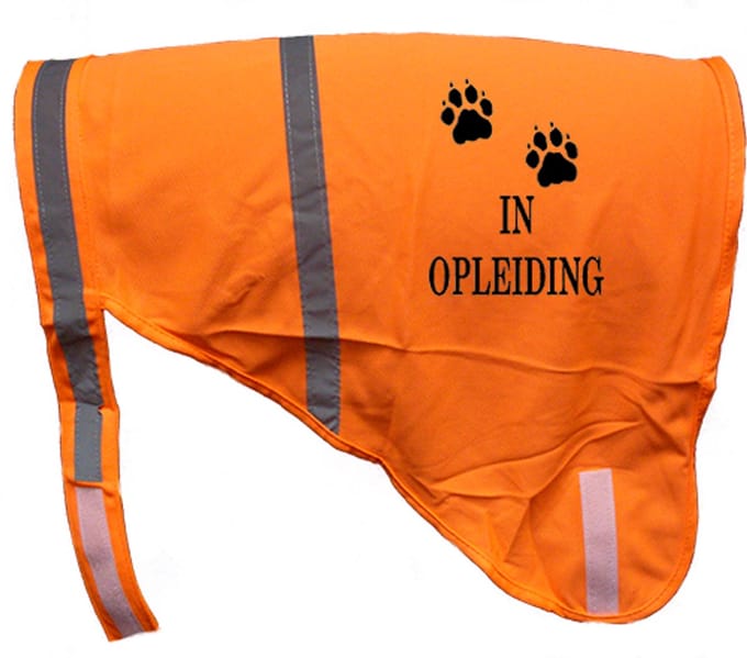 Hondenhesje "IN OPLEIDING", Maat M, Kleur Oranje