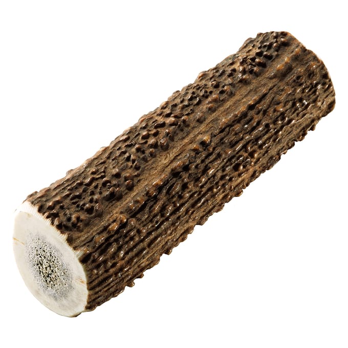 Chewies Edelherten Gewei Stang L - 160 gr