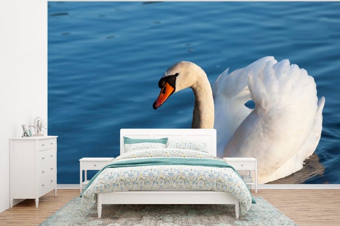 Behang - Fotobehang Zwaan - Water - Vogel - Wit - Breedte 295 cm x hoogte 220 cm