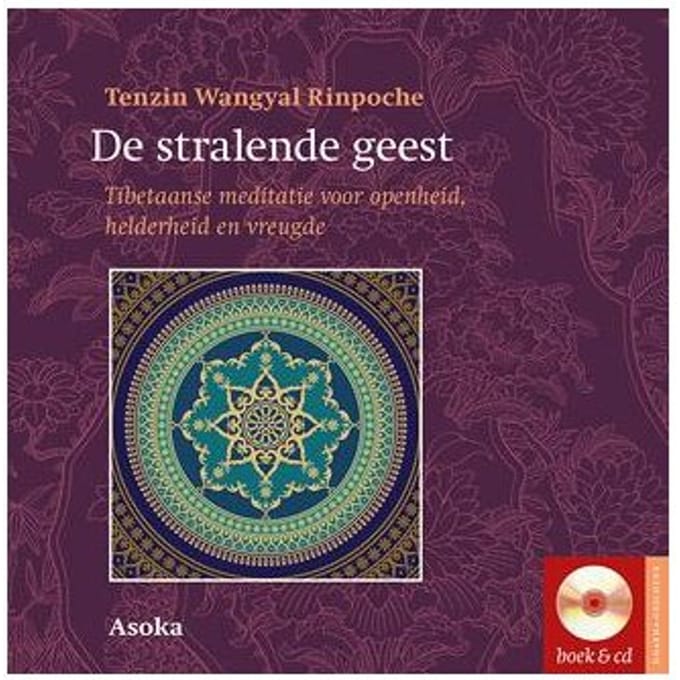 De Stralende Geest - Tenzin Wangyal Rinpoche