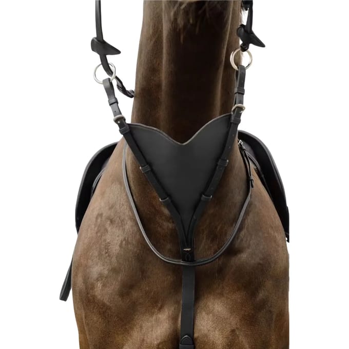 Martingale voor paard van soepel volnerfleer Dy'on