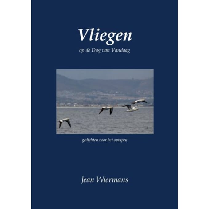 Vliegen - Jean Wiermans