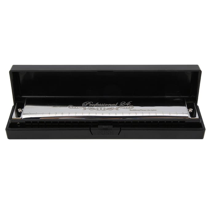 Harmonica Clé de Do 24 Trous Polyphonique Étudiant Adulte Débutant Jouant Résine Accentuée Harmonica à BoucheArgent