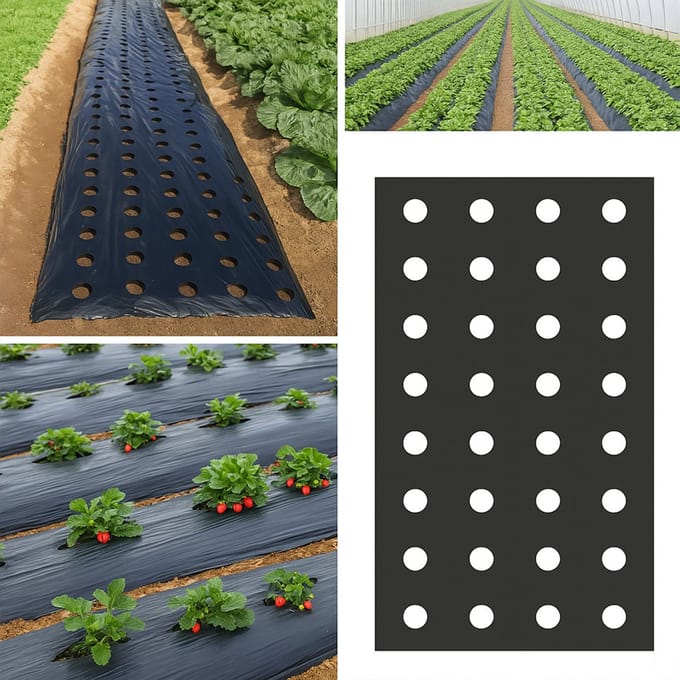 Vixson - Worteldoek - Gronddoek - Onkruiddoek - Anti Worteldoek - 0.95 cm x 10 Meter - VEGUARD