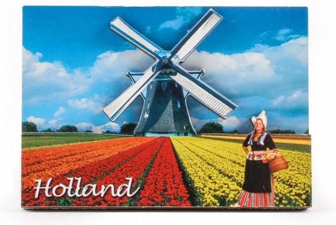2D magneet tulpen en molen