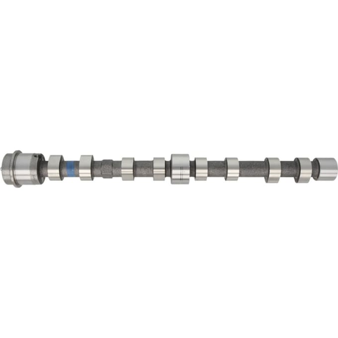 Nokkenas  AMC 647271