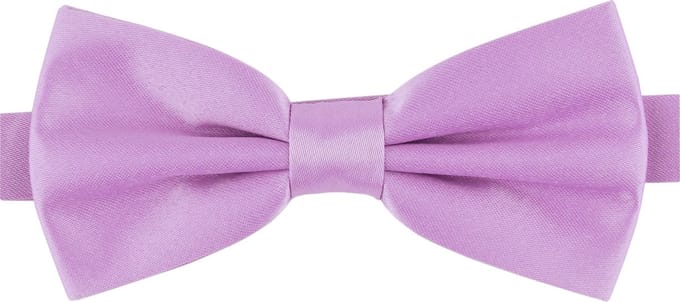 Ladeheid Vlinderdas - Strikjes voor Heren - Lengte: 12 cm, Breedte: 6 cm - Lila - LA-SR-M