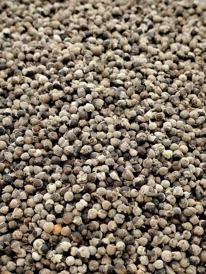 Monnikspeper (Vitex agnus castus)100g