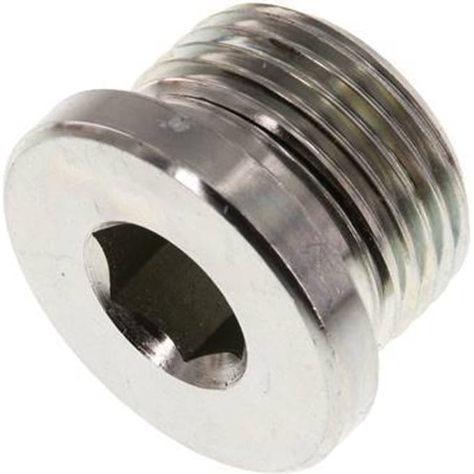 Plug M27 X 2 Staal NBR met binnenzeskant 400 bar (5620.0psi)