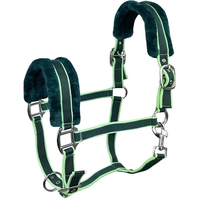 Bont halster voor paard York Benny