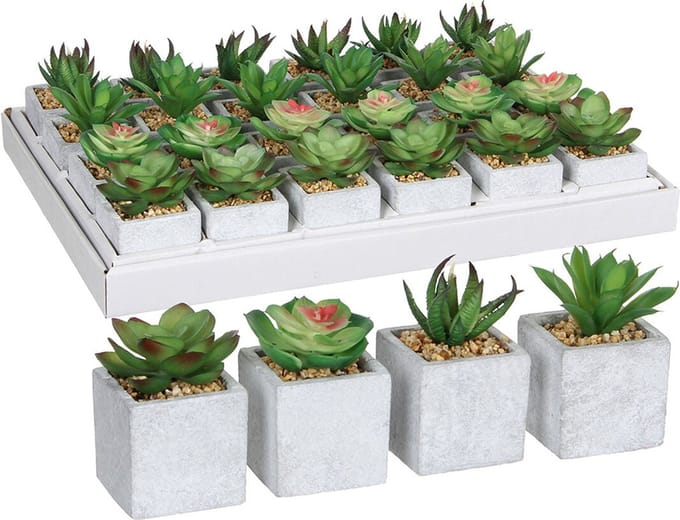 Decoratieve plant Mica Decorations 8 x 5 cm PVC Vetplant