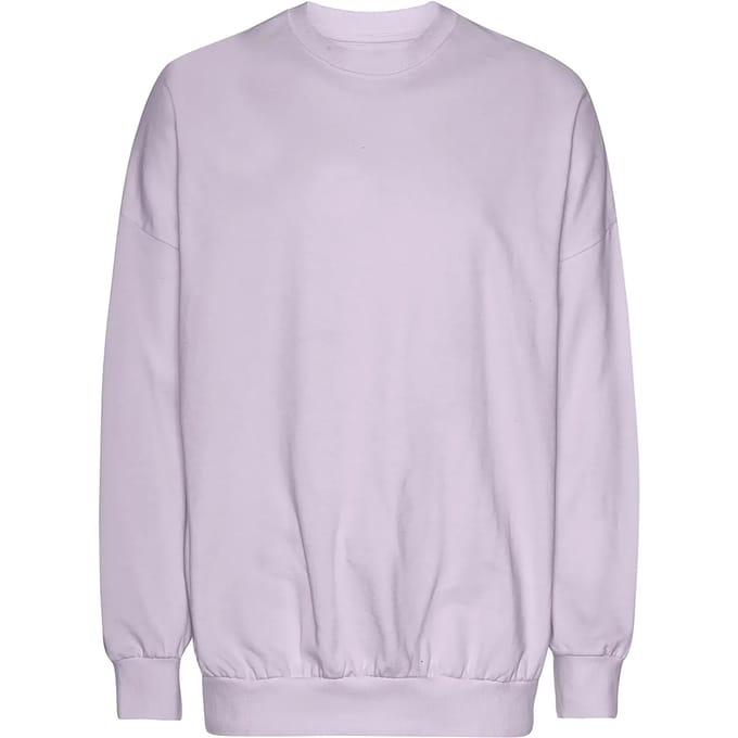 Neutral Oversized Sweatshirt NET63011 - Dusty Purple - S