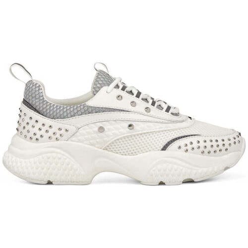 Lage Sneakers Ed Hardy Scale Runner-Stud White