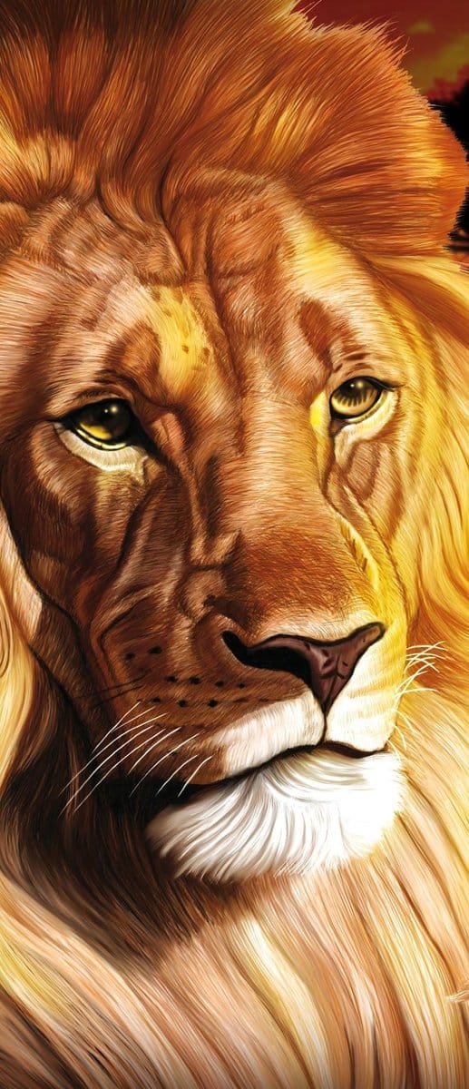 Lion Sunset Africa Nature Tree Photo Wallcovering