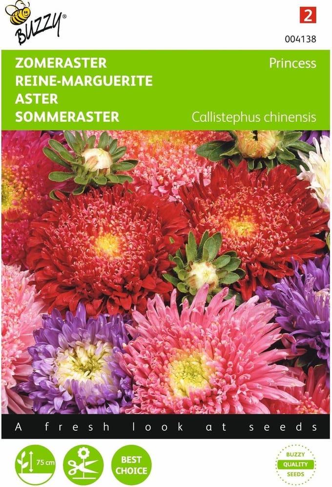 2 stuks Callistephus, Zomeraster Prinses gemengd