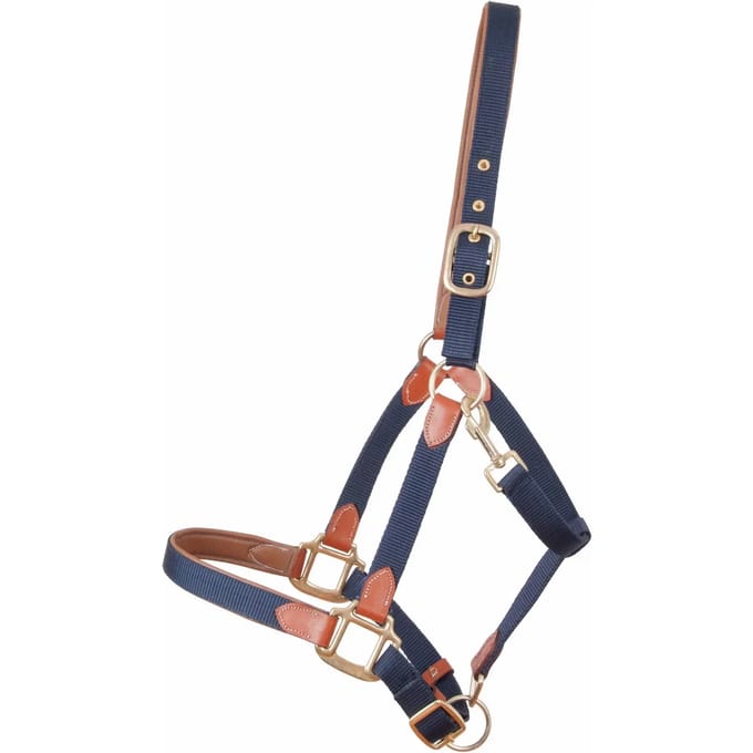 Lederen paardenhalster met riem T de T
