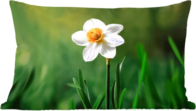 Sierkussens - Kussentjes Woonkamer - 60x40 cm - Narcis - Bloem - Wit - Grassprieten