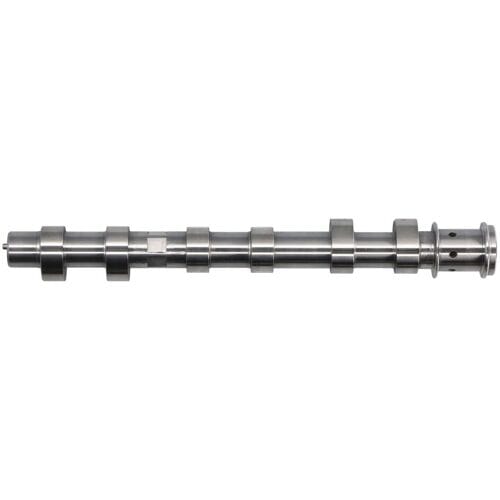 Nokkenas  FRECCIA CM05-2447