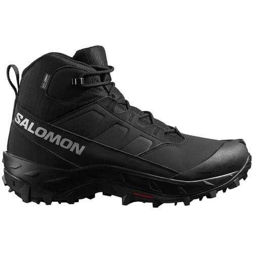 Wandelschoenen Salomon Crosstrak Wp