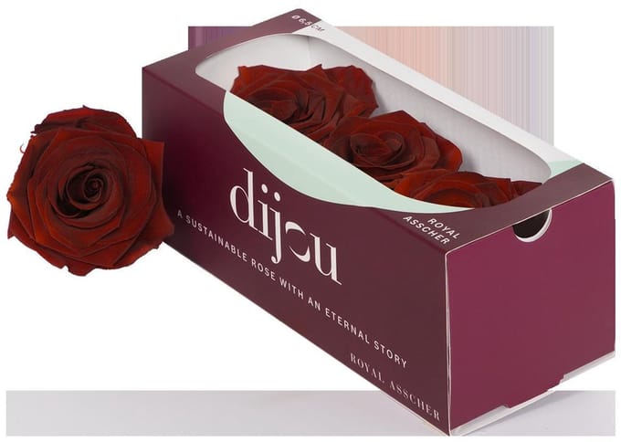 3x Dc pres.rozen dark amber
