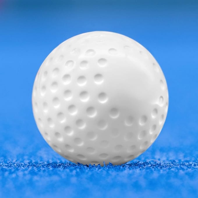 Hockeyballen: Dimple Training & Gladde Wedstrijdballen | Wit en Meer