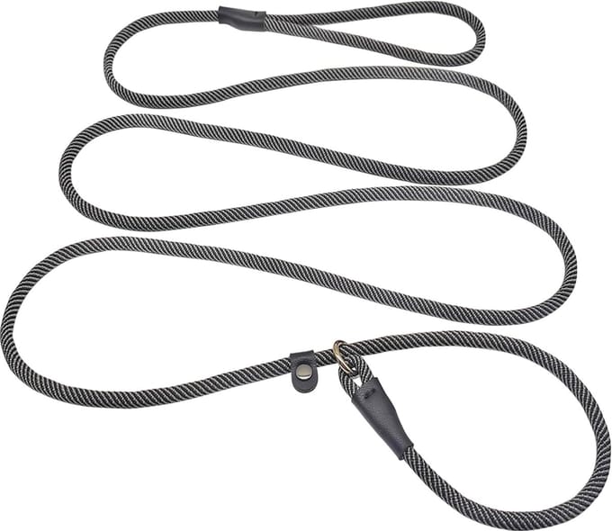 Hondenriem - Verstelbare Lijn - Dagelijkse Wandelingen - Slip Ontwerp - 20 cm Lengte - Zwart