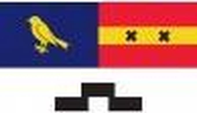 Vlag Vinkeveen Oude Wapen 50x75cm