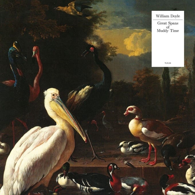 William Doyle - Great Spans Of Muddy Time (CD)
