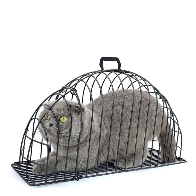 Kat Douchekooi Multifunctioneel Krasbestendig Metaal Kitten Wassen Badkooi voor Katten Kittens S S gray