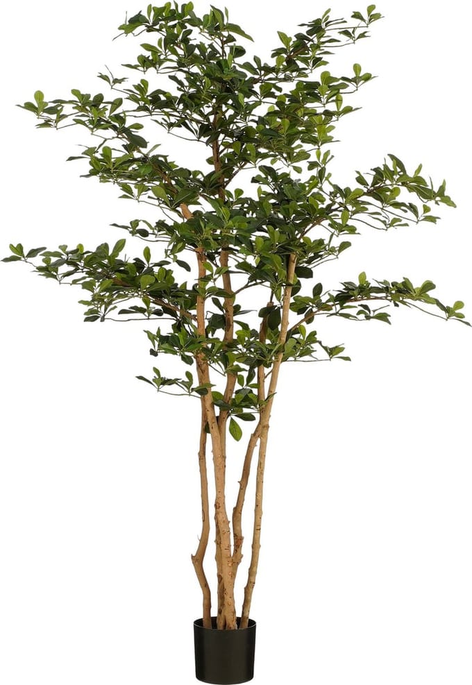 Mica Decorations Kunstplant Olijfboom in Pot - H183 x Ø130 cm - Groen