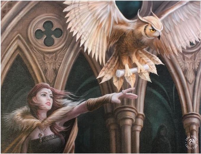 Anne Stokes Owl Messenger canvas schilderij