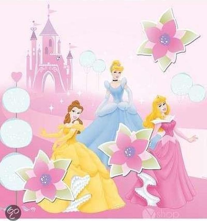 Princess Magnetisch Canvas