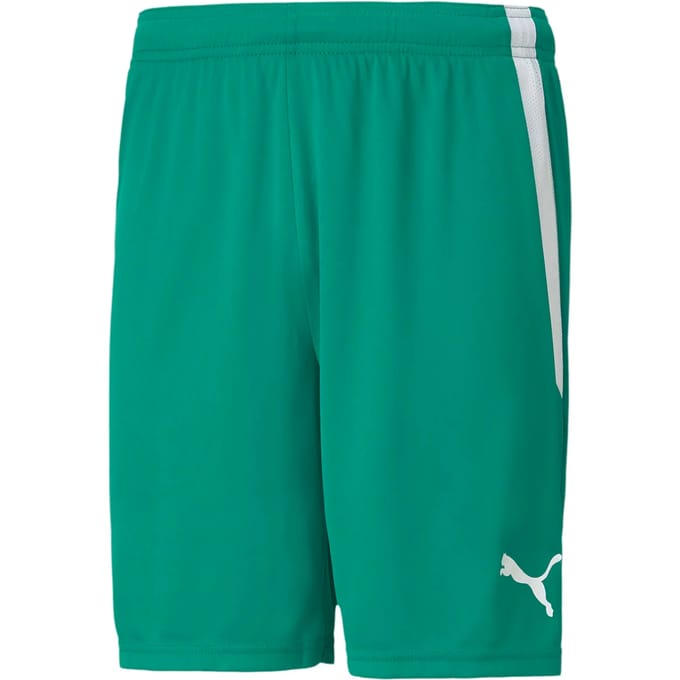 Short Puma Team Liga