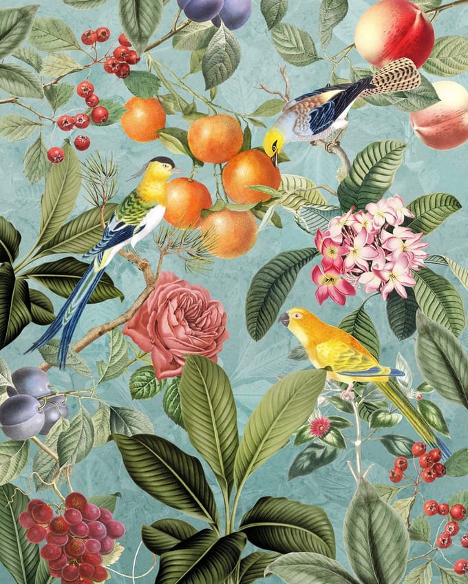 Fotobehang Birds And Berries - Meerkleurig - 2,50m X 200cm