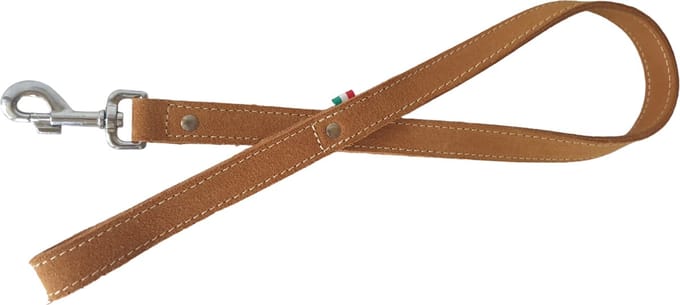 JACK AND VANILLA Gold Hondenriem / Hondenlijn - Leder - Breedte: 2,5 cm - Lengte: 100 cm