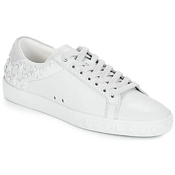 Lage Sneakers Ash DAZED