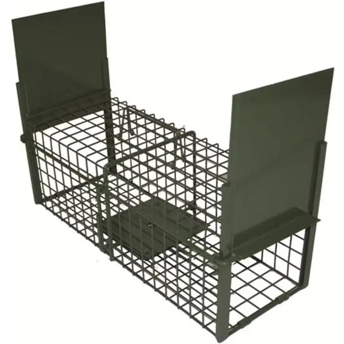 Doorlooprat Fuzyon Chasse