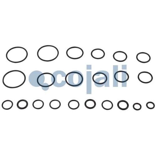 Reparatieset, luchtveer ventiel COJALI 6012213
