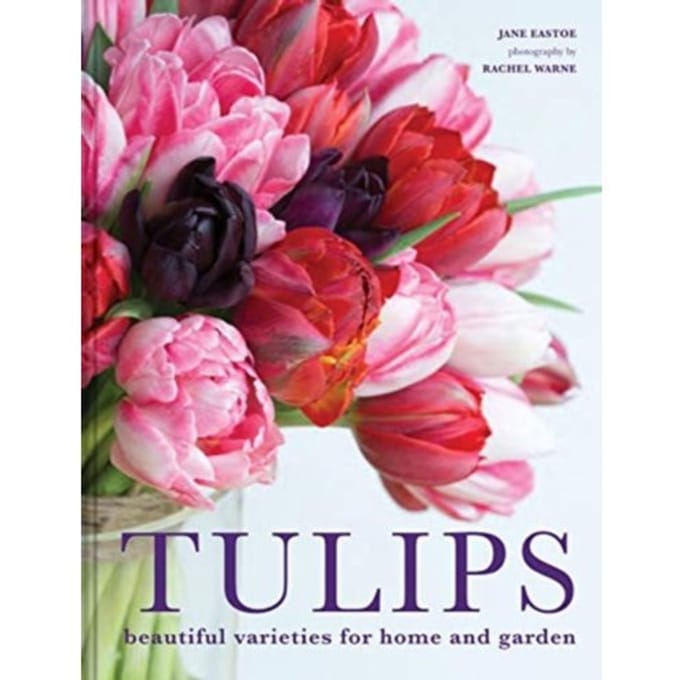 Tulips - Jane Eastoe