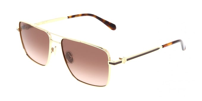 Ferragamo SF329SLBI Gold/brown gradient 60/17/145 MAN Zonnebrillen