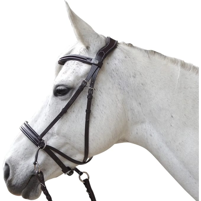 Hoofdstellen voor paarden Canter Bitless Evolution