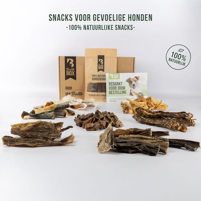 Hypoallergene Hondensnacks Proeverij Box – 10 Verschillende Snacks | Bellobox