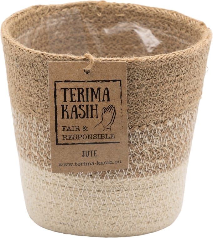 Bloomique - Mand Nea – Jute – Terami Kasih – – 10-15 cm - Pot 12 cm