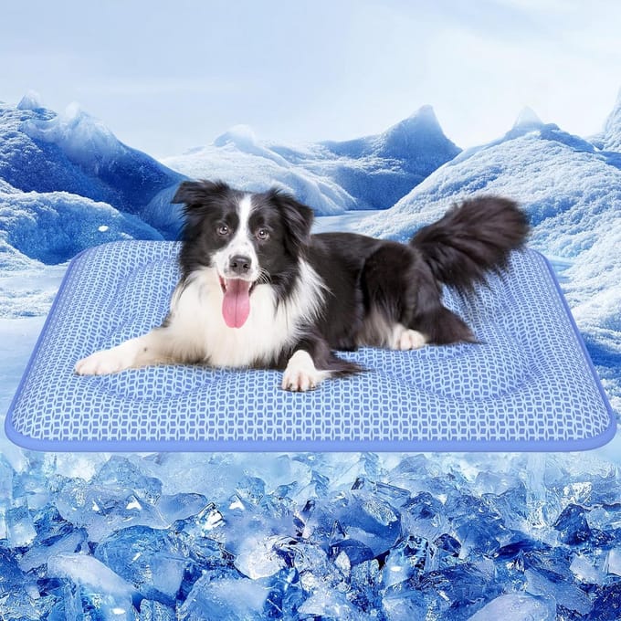 Extra Dikke Hondenkoelmat XL - Waterdicht, Zelfkoelend en Wasbaar - Arc-Chill Technologie