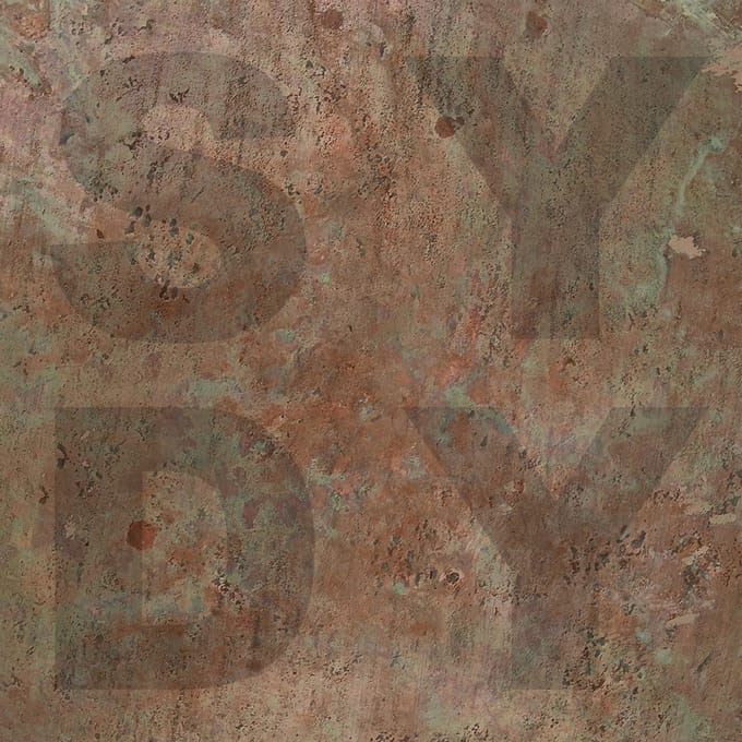 Shiny Darkly - Bronze (LP)
