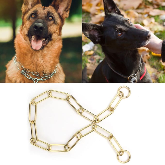 Colliers étrangleurs de dressage pour chiens Solid Snake P pour chiens ML (M) beige