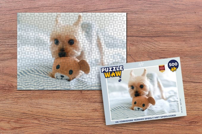 Puzzel De Yorkshire Terrier speelt met speelgoed - Legpuzzel - Puzzel 500 stukjes