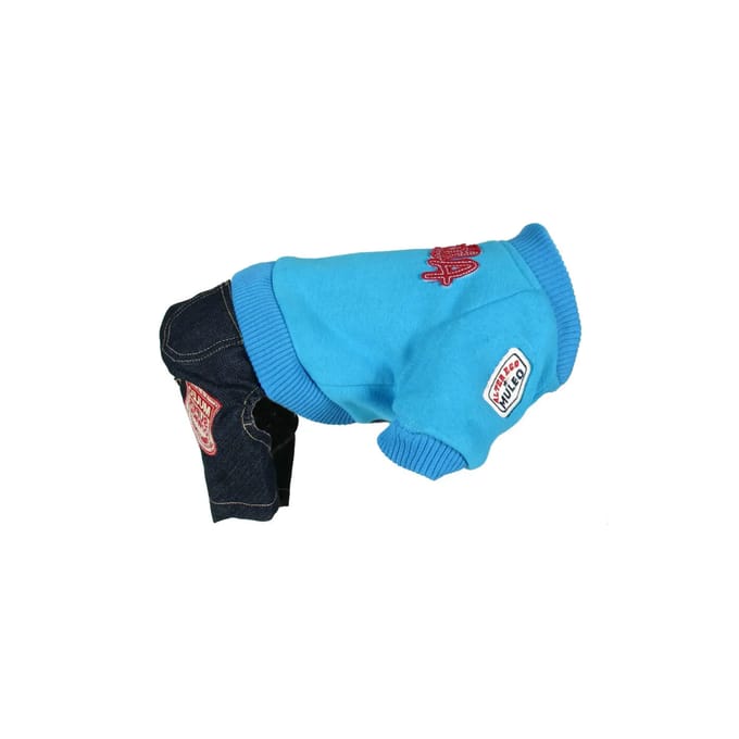 Sweatshirt en broek voor honden Martin Sellier US AE