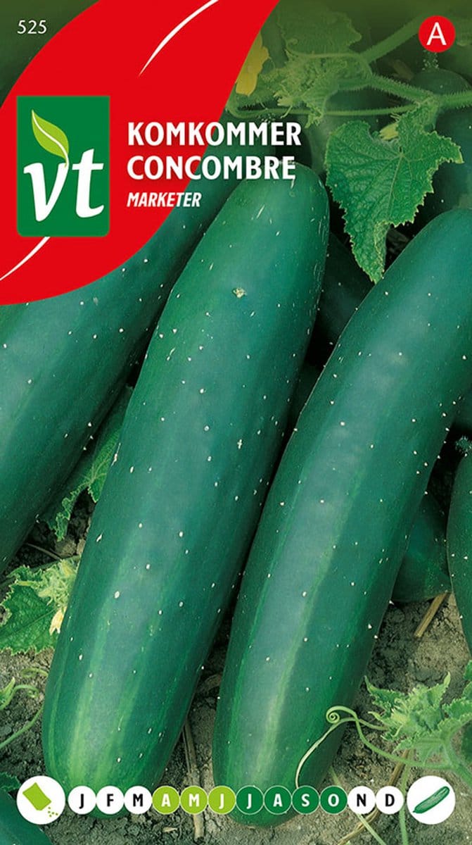Komkommer Marketer Zaden - Sappige Vruchten van ca. 20 cm Lang
